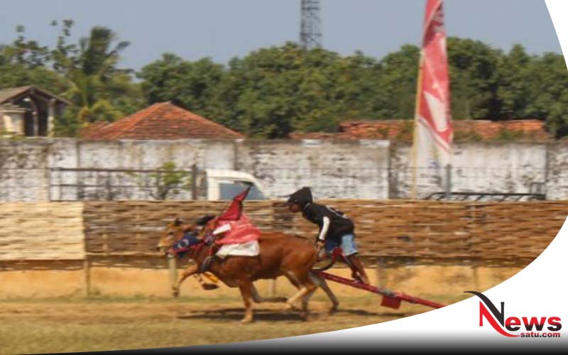 Visit Sumenep; Pemkab Gelar Kerapan Sapi