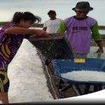 Harga Anjlok, Petani Garam Di Probolinggo Menjerit
