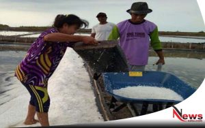Harga Anjlok, Petani Garam Di Probolinggo Menjerit