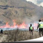 Hutan Di Gunung Bromo Probolinggo Terbakar