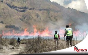 Hutan Di Gunung Bromo Probolinggo Terbakar