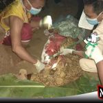 Seorang Nenek Di Kangean Sumenep Ditemukan Tewas Bersimbah Darah
