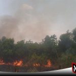Warga OKI Dipanikkan Dengan Kebakaran Lahan Kebun
