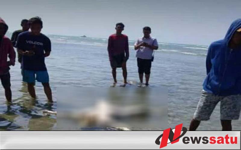 4 Jenazah Nelayan Asal Probolinggo Kembali Ditemukan Di Perairan Pamekasan