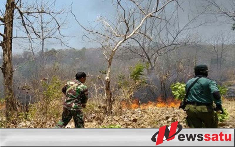 Kebakaran, TNI Bersama Warga Berusaha Padamkan Api Di HutanLindung Gunung Bentar