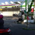 Warga Lenteng Sumenep Tanam Pohon Pisang Ditengah Jalan