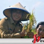 Lahan Pertanian Di OKI Terus Berkurang