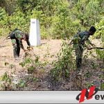 Satgas Pamtas Yonmek 521 DY Amankan Patok Perbatasan
