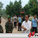 Pekan Depan, Presiden Jokowi Kembali Berkunjung Ke Jatim