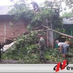 Diguyur Hujan Deras Rumah Warga Di Cilacap Tertimpa Pohon