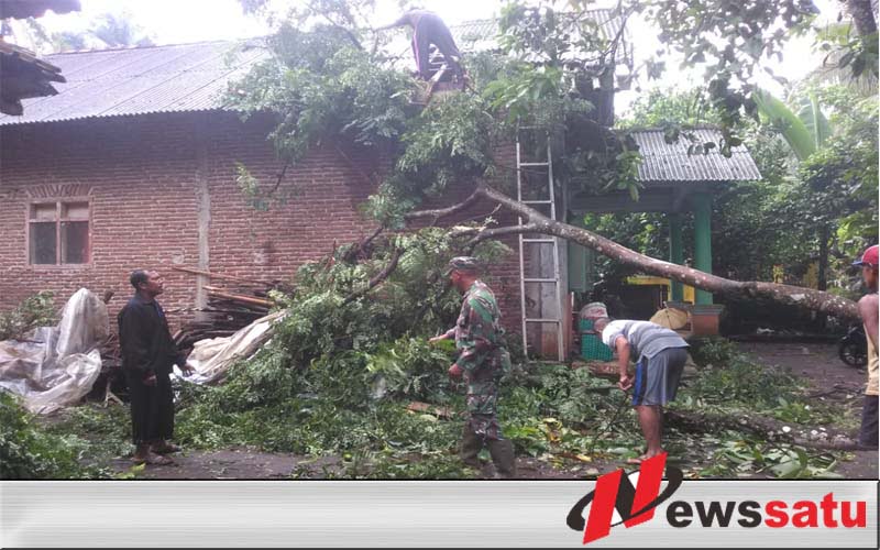 Diguyur Hujan Deras Rumah Warga Di Cilacap Tertimpa Pohon