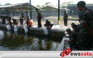 Makorem 084 Bhaskara Jaya Beri Penyuluhan Budidaya Ikan Air Tawar