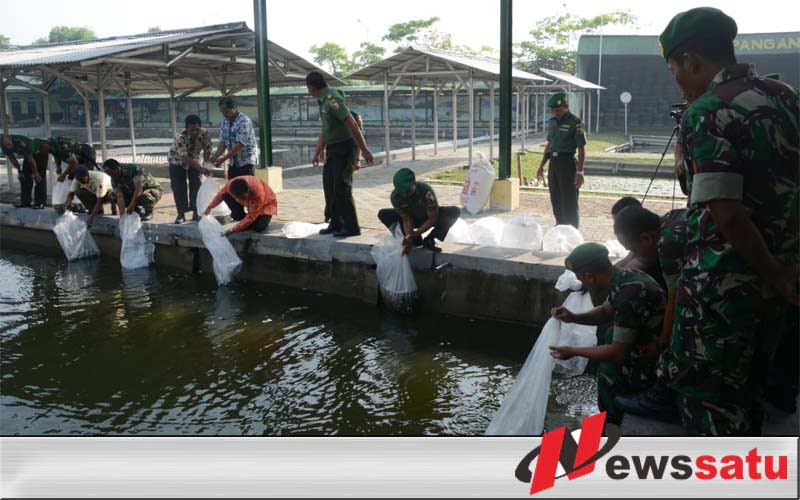 Makorem 084 Bhaskara Jaya Beri Penyuluhan Budidaya Ikan Air Tawar