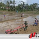 TNI Cilacap Bantu Petani Tanam Padi