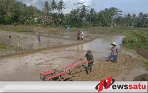 TNI Cilacap Bantu Petani Tanam Padi