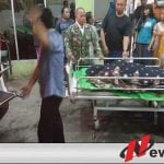 4 Warga Probolinggo Tewas Kesetrum