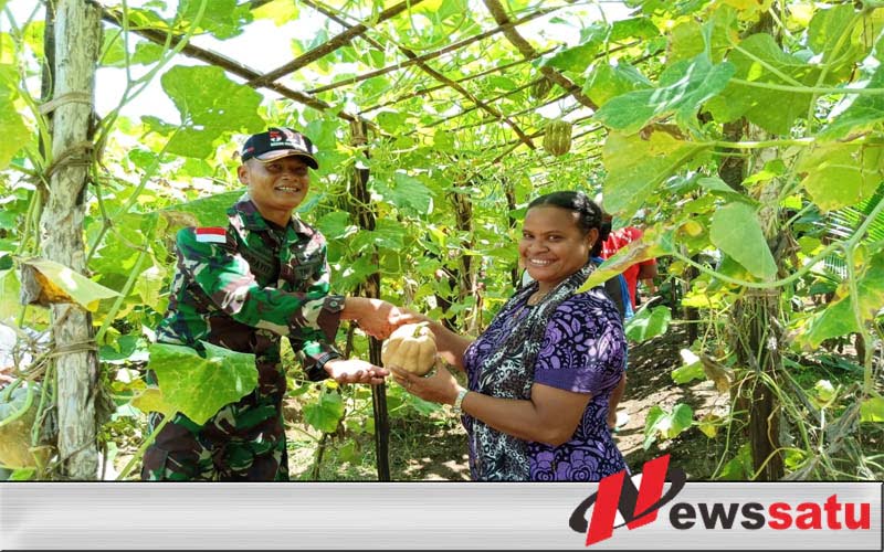 TNI Ajak Warga Merauke Budidaya Labu Madu