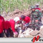 TNI Lamongan BantuWarga Buat Palengsengan
