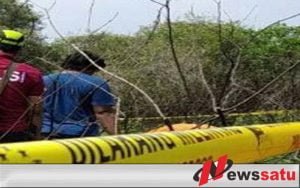 Warga Probolinggo Digegerkan Dengan Penemuan Tulang Belulang Di Pelabuhan