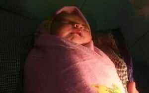 Penemuan Bayi di Hutan Gegerkan Warga Probolinggo