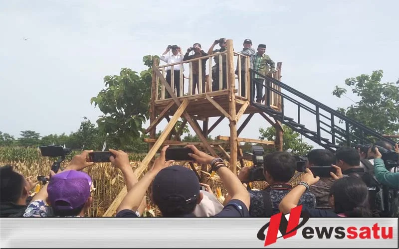 Waaster KSAD dan Menteri Amran Sulaiman, Tinjau Lokasi Panen Raya di Tuban