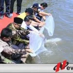 Kabupaten Probolinggo Dapt Bantuan Ribuan Benih Ikan Dan Alat Pertanian