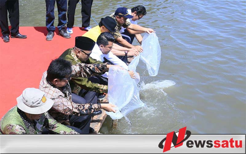 Kabupaten Probolinggo Dapt Bantuan Ribuan Benih Ikan Dan Alat Pertanian
