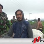 Petani Alpukat di Jember Nikmati Pembangunan Jalan Hasil Program TMMD Ke 104