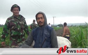 Petani Alpukat di Jember Nikmati Pembangunan Jalan Hasil Program TMMD Ke 104