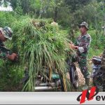 Seorang Petani Kabur Saat Dikejar Satgas TMMD Kodim Sumenep