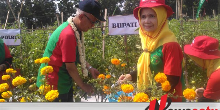Dispertan Bondowoso Kembali Laksanakan Geltek 2019
