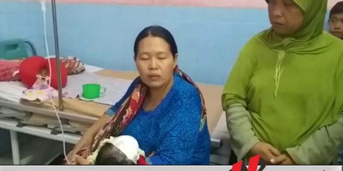 Kera Liar Serang Balita Di Kota Probolinggo