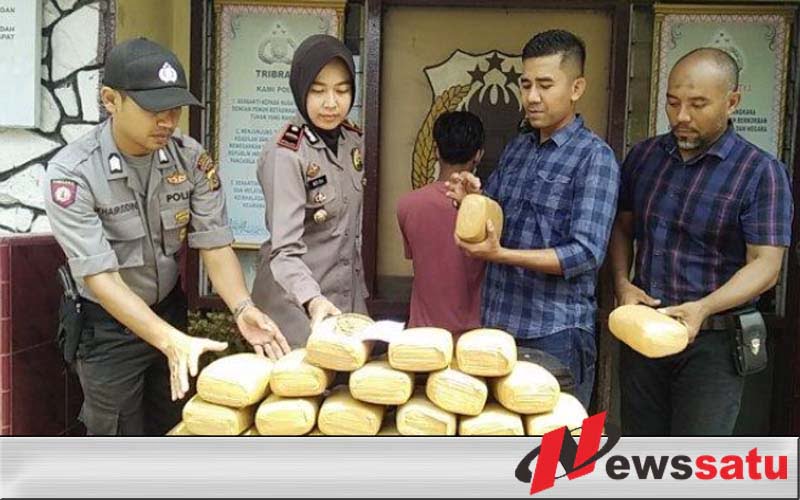 Kurir Ganja 24 Kg Dibekuk Polisi Bireuen Aceh