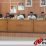 Persiapan Pemilu, KPU OKI Siapkan Anggaran Rp 1 Miliar Lebih