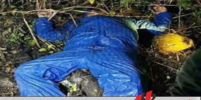 Warga Probolinggo Dikabarkan Tewas Di Papua