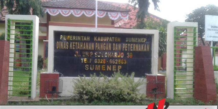 Dinas Peternakan Sumenep Waspadai Peredaran Daging Glonggongan Dinas Peternakan Sumenep Waspadai Peredaran Daging Glonggongan