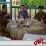 Pemkab OKI Bakal Kelola Serius Wisata Danau Teluk Gelam