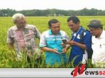 Pemkab OKI Jamin Stok Beras Aman Selama Ramadan