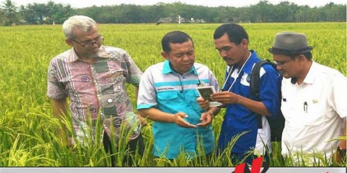 Pemkab OKI Jamin Stok Beras Aman Selama Ramadan