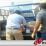 Polisi Grebek Rumah Penyimpanan Handak Di Bondowoso