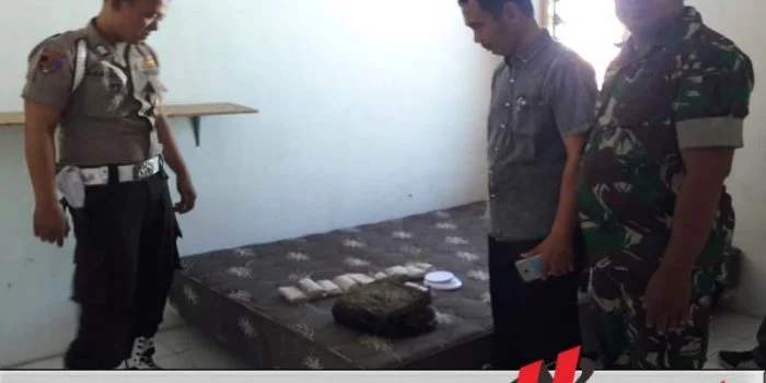 TNI Polri Berhasil Sita 5 Kilogram Ganja Kering