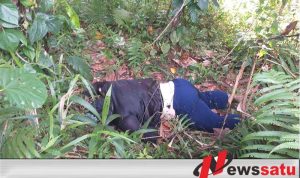 Warga Buru Digegerkan Dengan Penemuan Wanita Di Pohon Coklat
