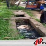 Warga Ogan Komering Ilir Ditemukan Tewas Di TPU