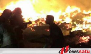 Gudang Pabrik Pengelohan Kayu Di Probolinggo Terbakar