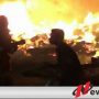 Gudang Pabrik Pengelohan Kayu Di Probolinggo Terbakar