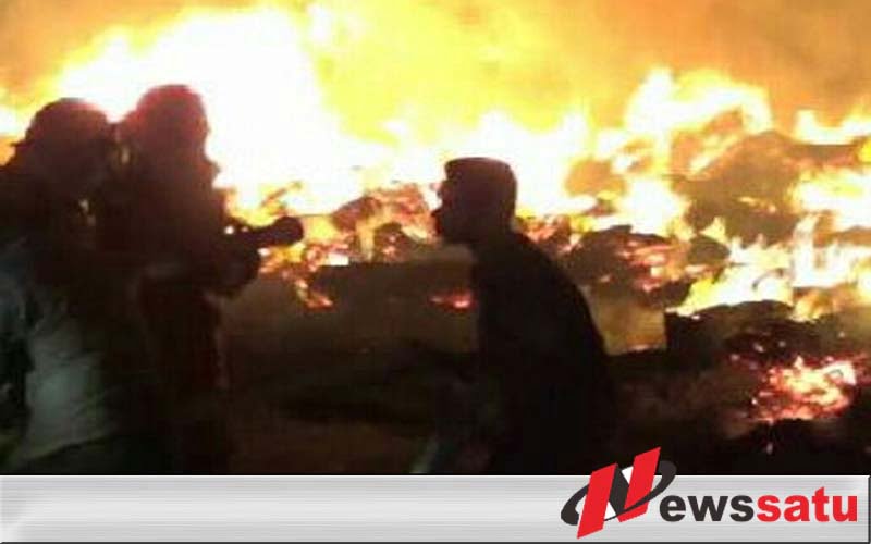 Gudang Pabrik Pengelohan Kayu Di Probolinggo Terbakar