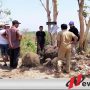 Penemuan Benda Purbakala Di Bondowoso