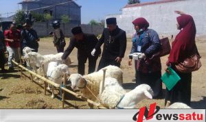 Wakil Wali Kota Probolinggo Tinjau Penjual Hewan Kurban