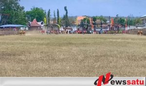6 Pasang Sapi Di Sumenep Akan Mengikuti Piala Presiden