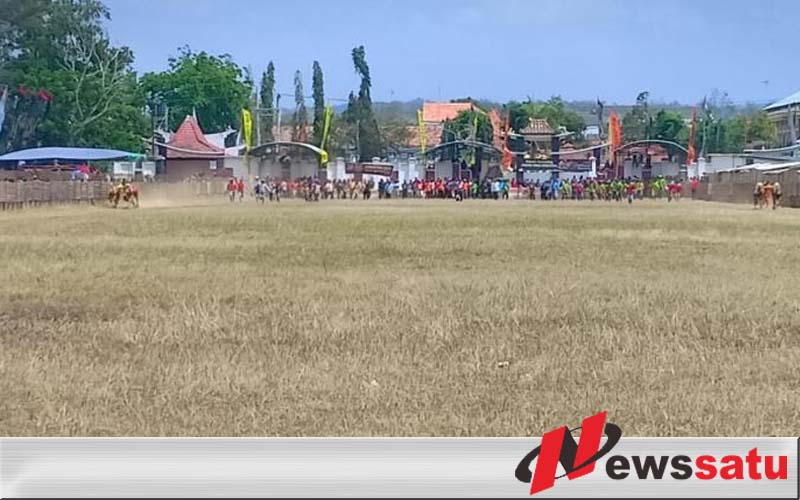 6 Pasang Sapi Di Sumenep Akan Mengikuti Piala Presiden